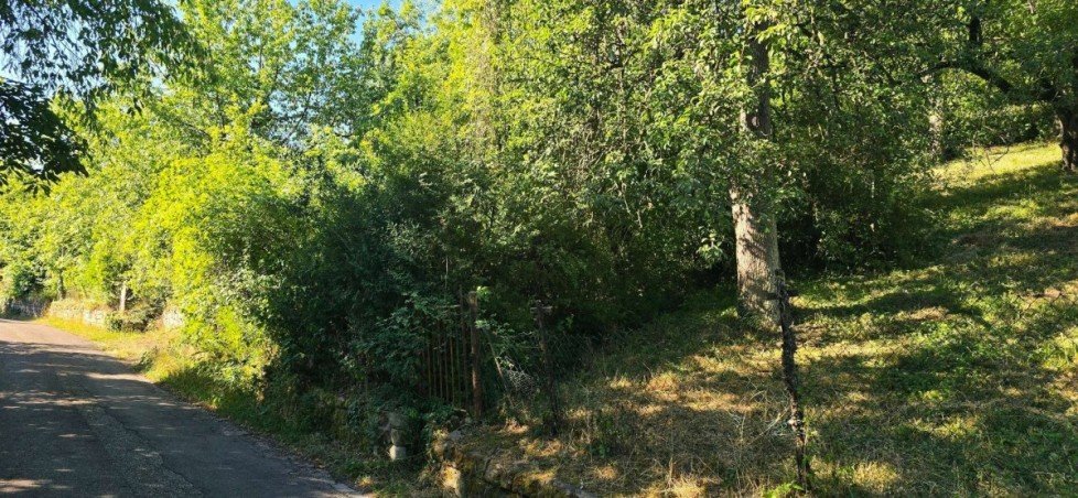 Garten Grundst�ck Stuttgart