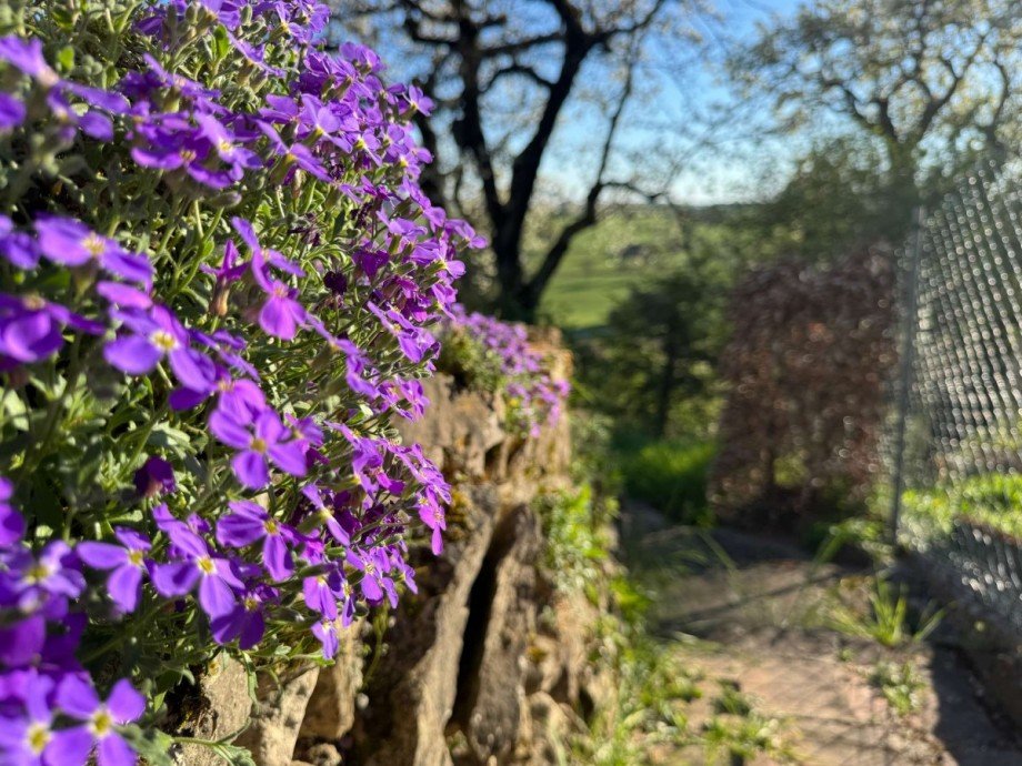Impressionen Garten Zweifamilienhaus Leonberg