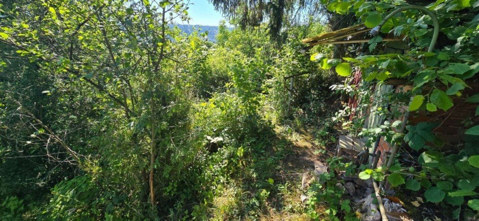 Garten Grundst�ck Stuttgart