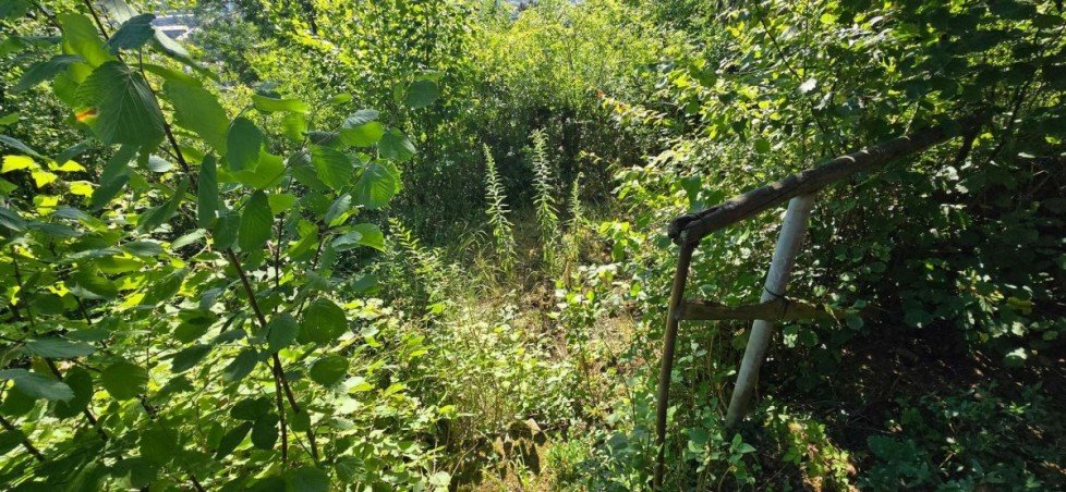 Garten Grundst�ck Stuttgart