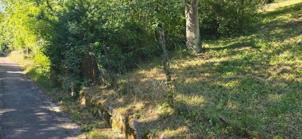 Garten Grundst�ck Stuttgart